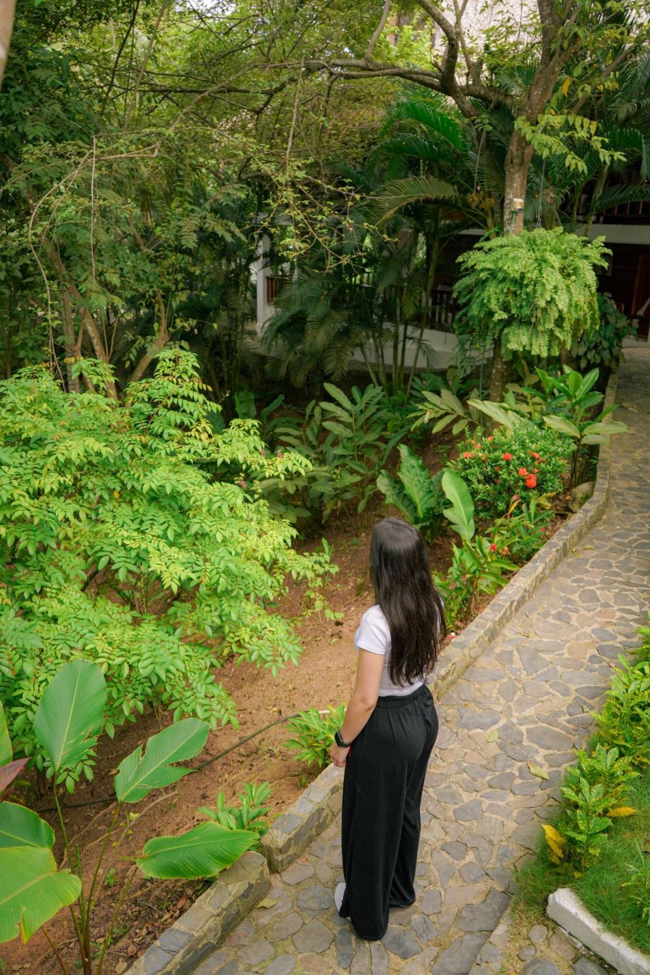 Ecohotel Yachay Tayrona Dentro Del Parque Tayrona Zaino Exterior foto