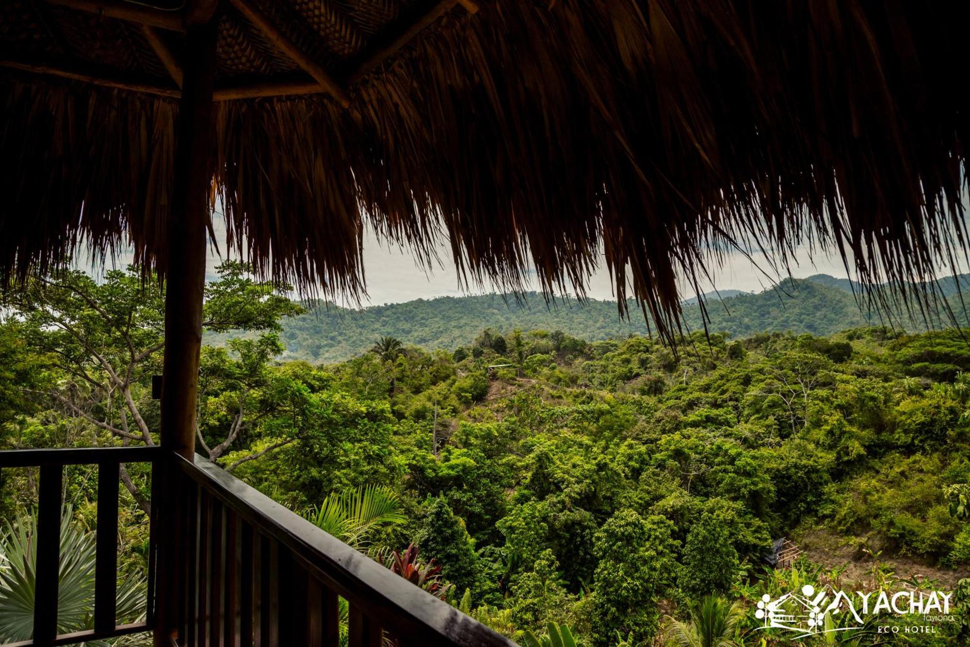 Ecohotel Yachay Tayrona Dentro Del Parque Tayrona Zaino Exterior foto